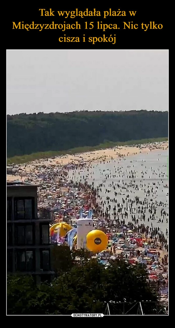 
    Tak wyglądała plaża w Międzyzdrojach 15 lipca. Nic tylko cisza i spokój