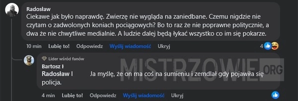 
    Koń