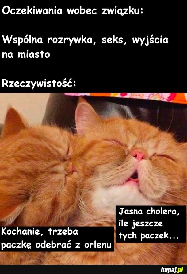 
    Oczekiwania vs rzeczywistość