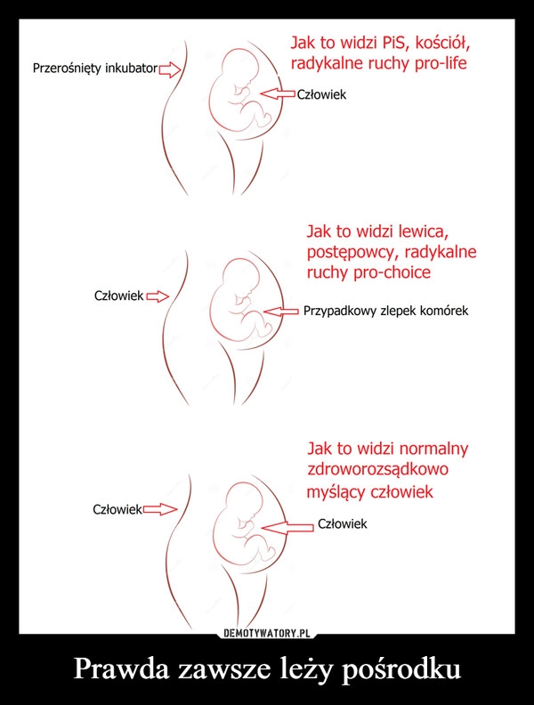 
    Prawda zawsze leży pośrodku