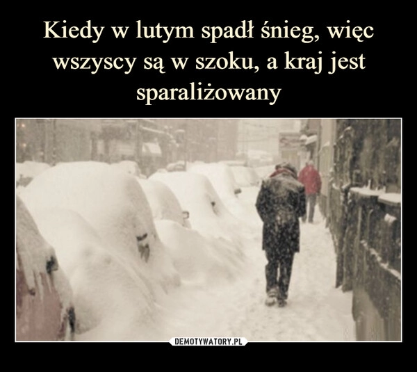 
    Kiedy w lutym spadł śnieg, więc wszyscy są w szoku, a kraj jest sparaliżowany