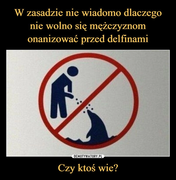 
    W zasadzie nie wiadomo dlaczego nie wolno się mężczyznom onanizować przed delfinami Czy ktoś wie?