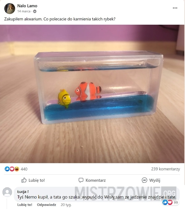 
    Gdzie jest Nemo