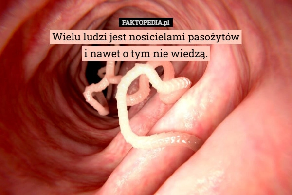 
    Wielu ludzi jest nosicielami pasożytów
i nawet o tym nie wiedzą.