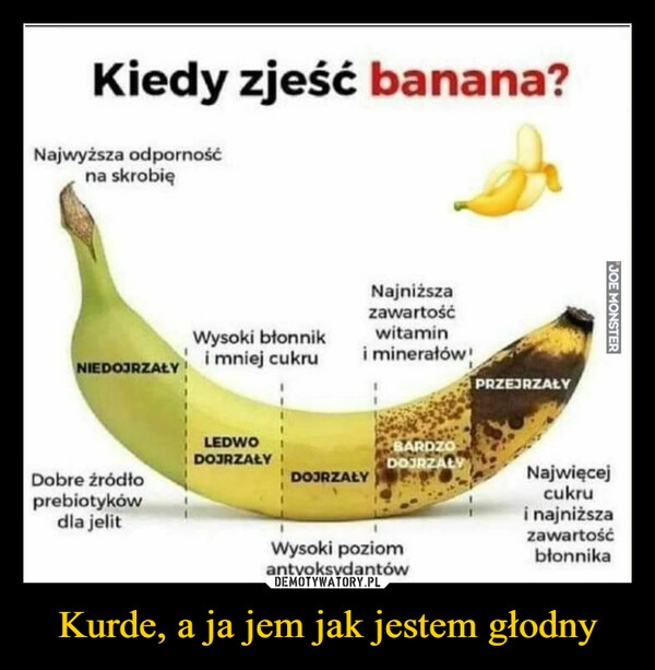 
    Kurde, a ja jem jak jestem głodny