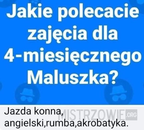 
    Zajęcia