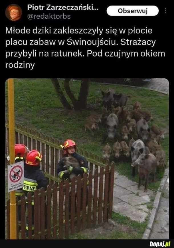 
     rodzinny wypad 