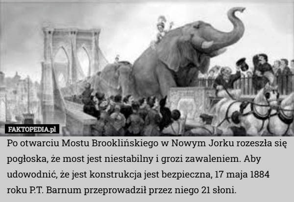 
    Po otwarciu Mostu Brooklińskiego w Nowym Jorku rozeszła się pogłoska, że