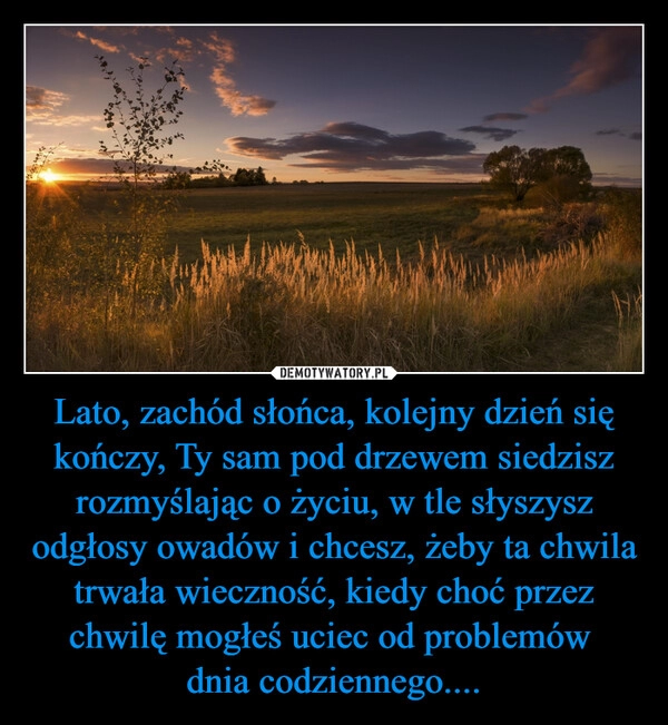 
    Lato, zachód słońca, kolejny dzień się kończy, Ty sam pod drzewem siedzisz rozmyślając o życiu, w tle słyszysz odgłosy owadów i chcesz, żeby ta chwila trwała wieczność, kiedy choć przez chwilę mogłeś uciec od problemów 
dnia codziennego....