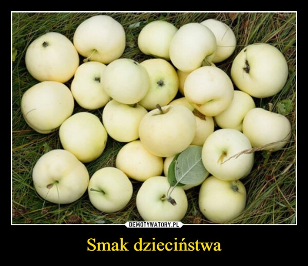 
    Smak dzieciństwa