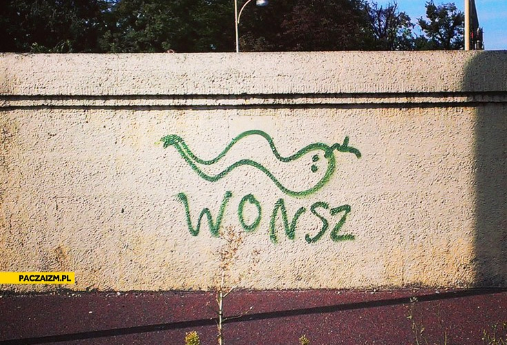 
    Wonsz