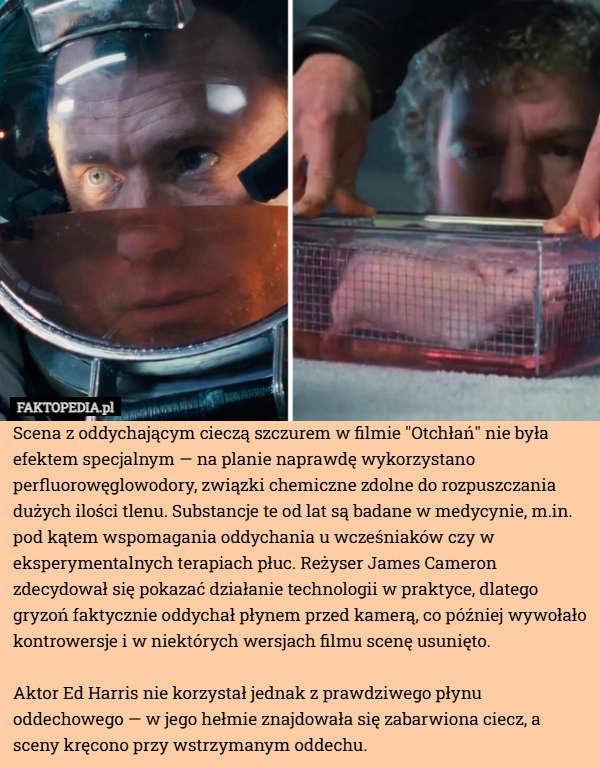 
    Scena z oddychającym cieczą szczurem w filmie "Otchłań" nie była