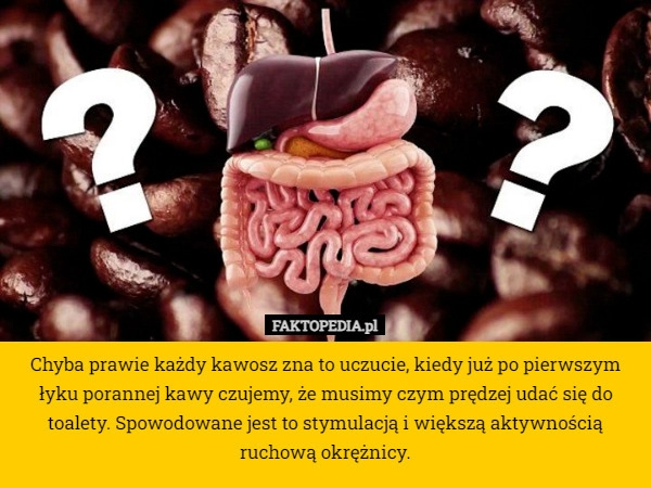 
    Chyba prawie każdy kawosz zna to uczucie, kiedy już po pierwszym łyku porannej