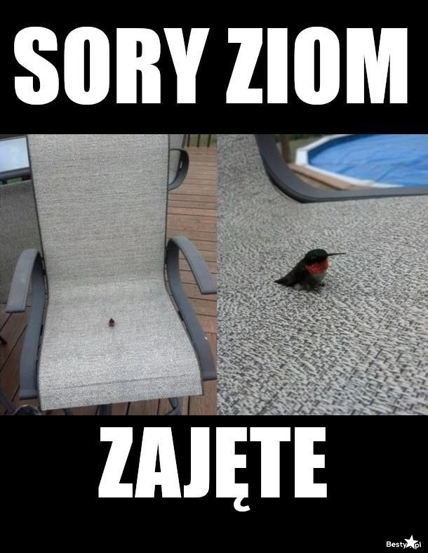 
    Zajęte 