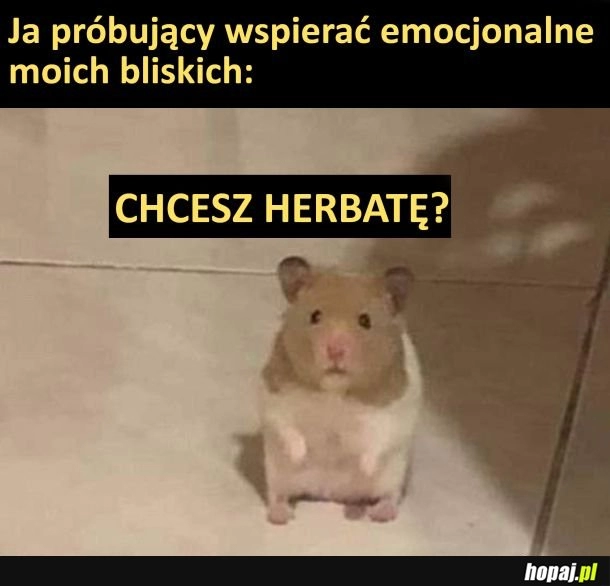 
    Emocjonalne wsparcie