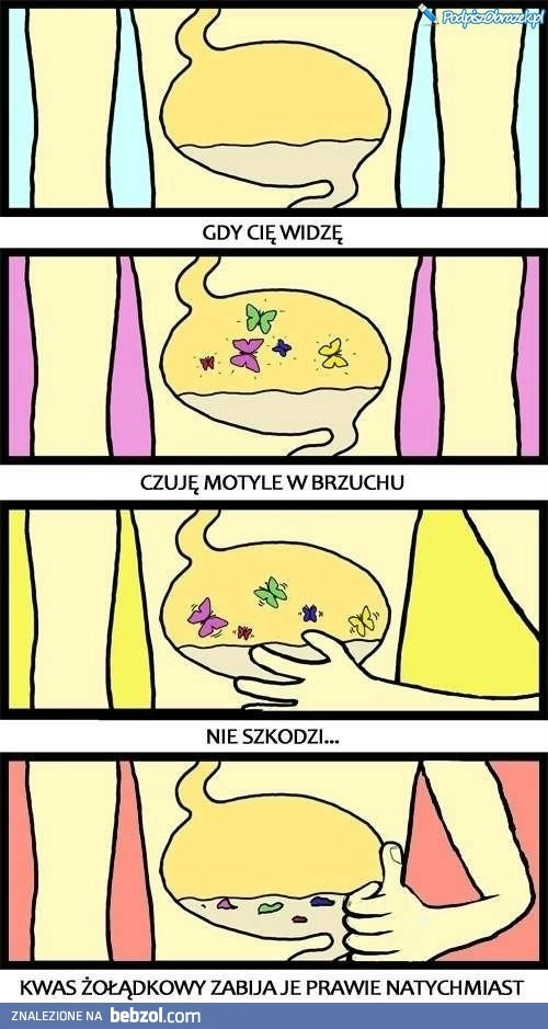 
    Motyle w brzuchu