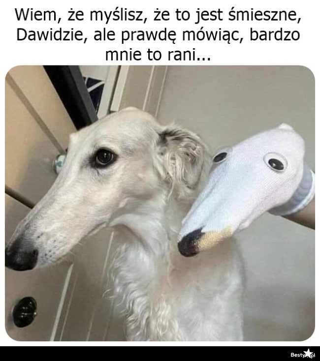 
    No bardzo śmieszne, wiesz? 