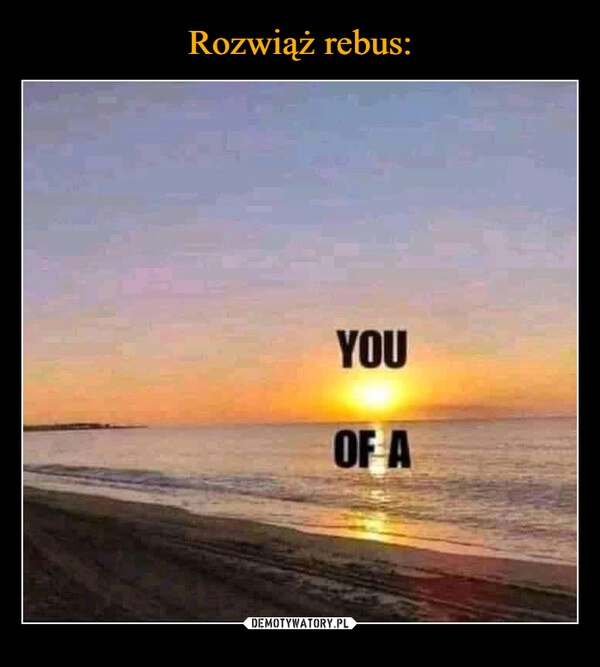 
    Rozwiąż rebus: