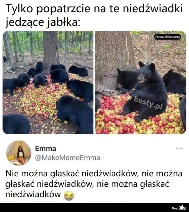 
    Niedźwiadki 