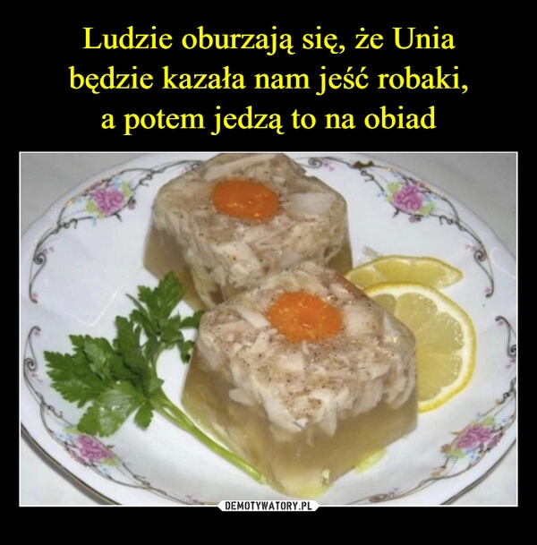 
    Ludzie oburzają się, że Unia
 będzie kazała nam jeść robaki, 
a potem jedzą to na obiad