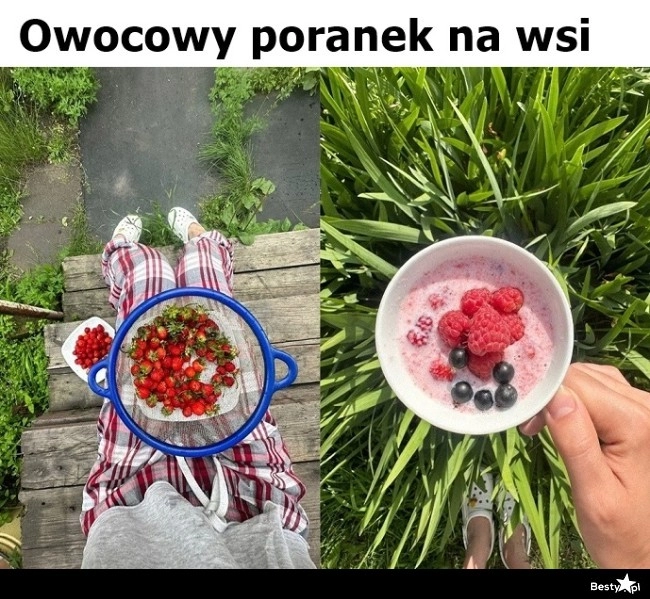 
    Owocowy poranek 