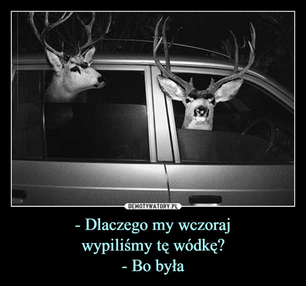 
    
- Dlaczego my wczoraj
wypiliśmy tę wódkę?
- Bo była 