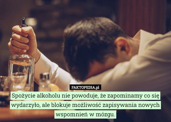 
    Spożycie alkoholu nie powoduje, że zapominamy co się wydarzyło, ale blokuje