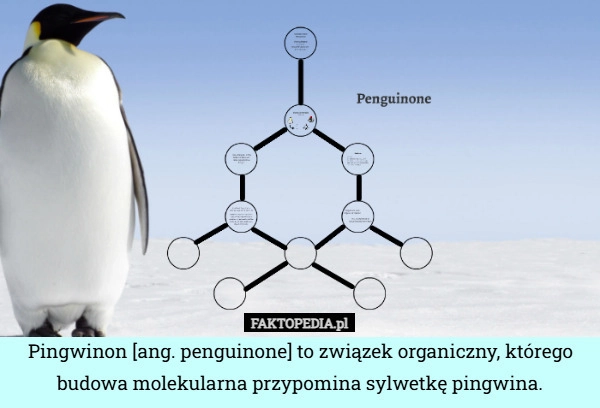 
    Pingwinon [ang. penguinone] to związek organiczny, którego budowa molekularna