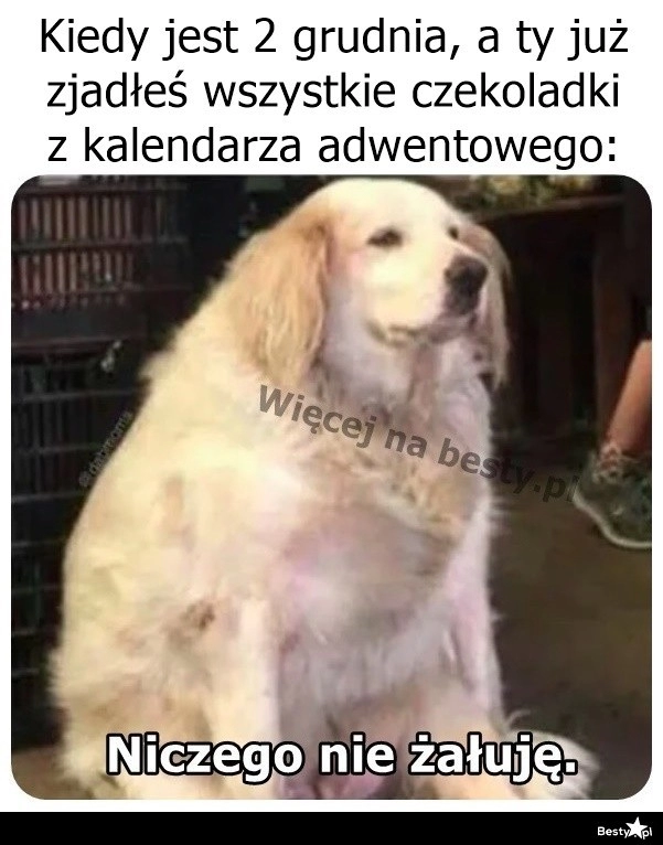 
    No i stało się 