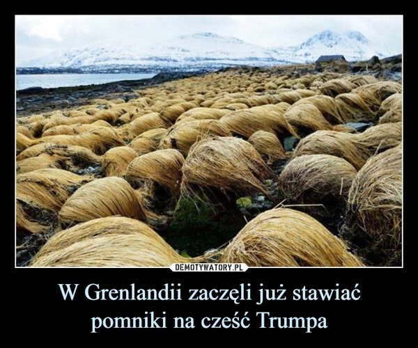 
    W Grenlandii zaczęli już stawiać pomniki na cześć Trumpa