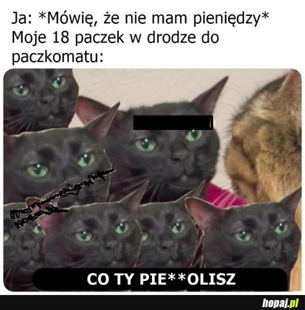 
    Paczki