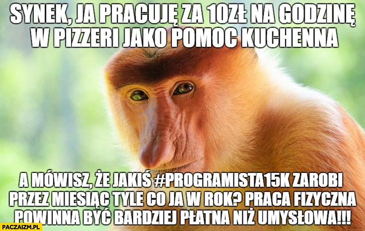 
    Synek ja pracuję za 10zł na godzinę jako pomoc kuchenna a Ty mówisz, że programista zarobi przez miesiąc tyle co ja w rok? Praca fizyczna powinna być bardziej płatna niż umysłowa typowy Polak nosacz małap