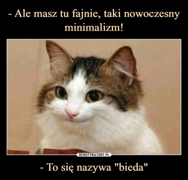 
    - Ale masz tu fajnie, taki nowoczesny minimalizm! - To się nazywa "bieda"