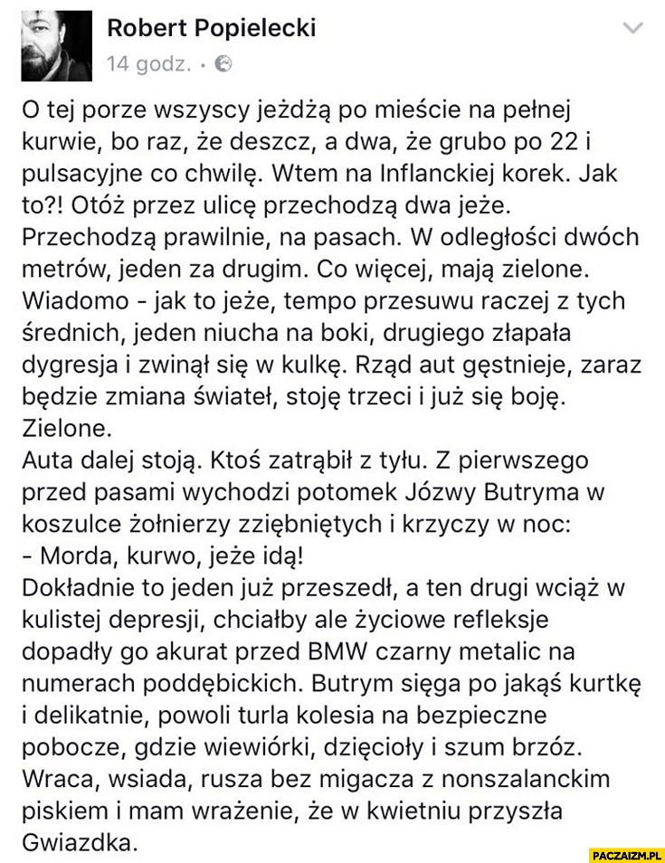 
    Jeże przechodzą przez jezdnię na zielonym świetle historia opowieść na facebooku. Morda kurno, jeże idą. Kierowca BMW