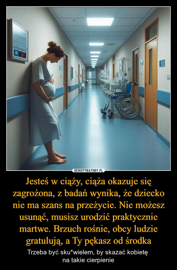 
    Jesteś w ciąży, ciąża okazuje się zagrożona, z badań wynika, że dziecko nie ma szans na przeżycie. Nie możesz usunąć, musisz urodzić praktycznie martwe. Brzuch rośnie, obcy ludzie gratulują, a Ty pękasz od środka