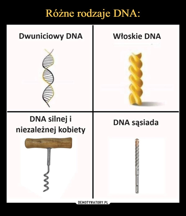 
    Różne rodzaje DNA: