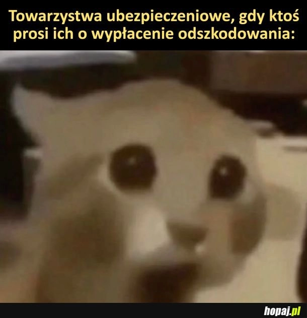 
    Odszkodowanie