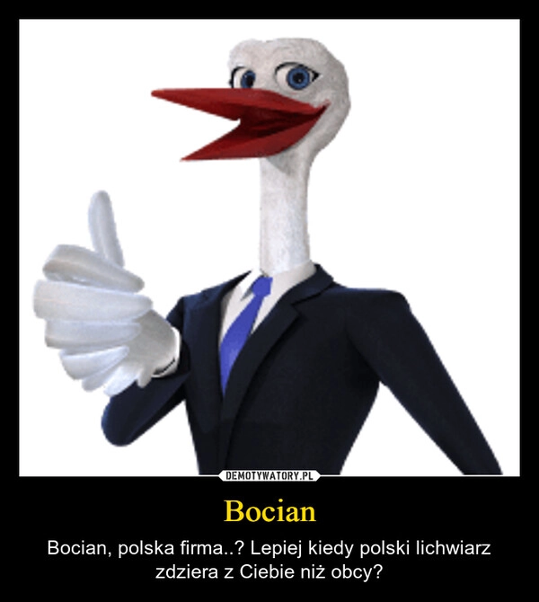 
    Bocian