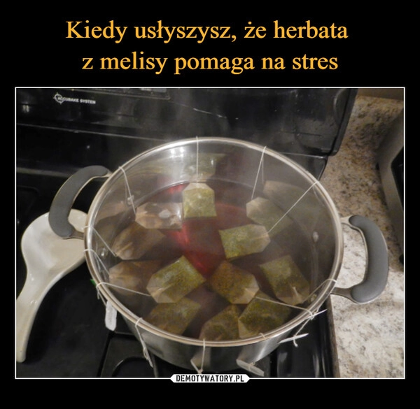 
    
Kiedy usłyszysz, że herbata
z melisy pomaga na stres 