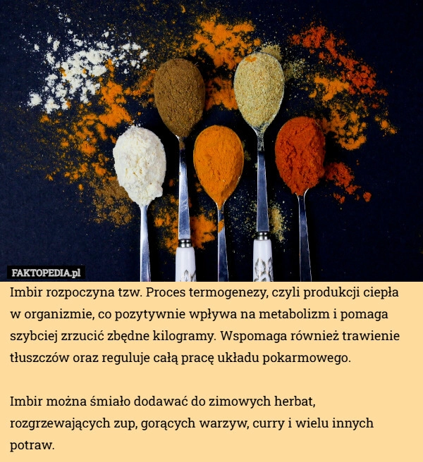 
    Imbir rozpoczyna tzw. Proces termogenezy, czyli produkcji ciepła w organizmie,