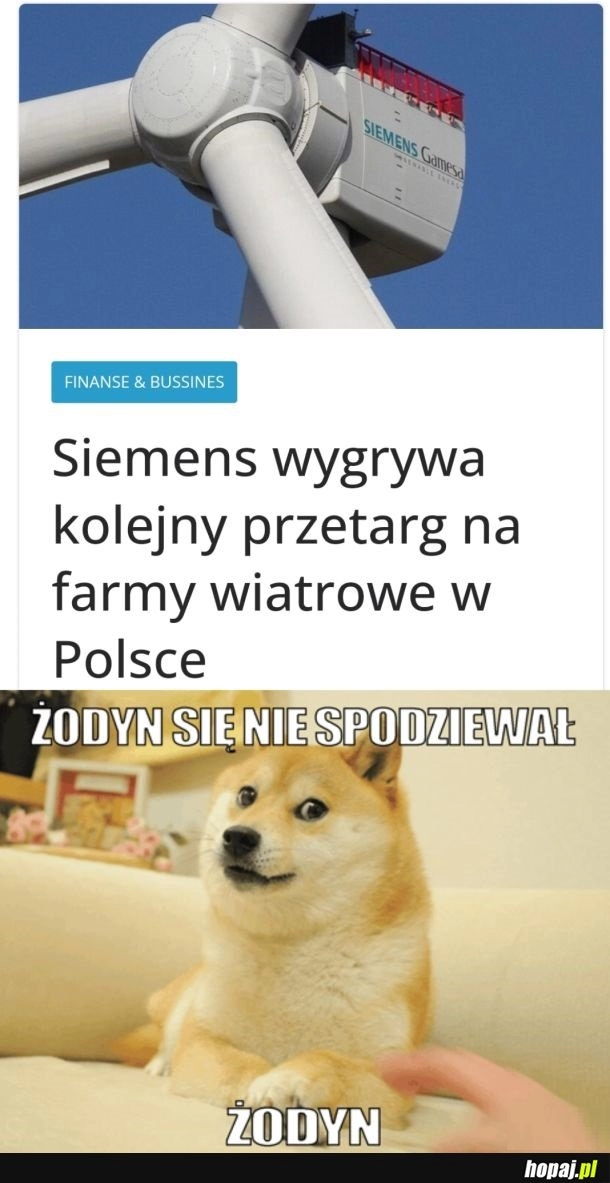 
    Żodyn