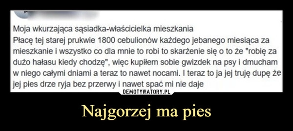
    Najgorzej ma pies
