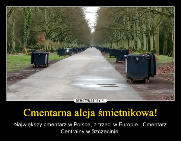 
    Cmentarna aleja śmietnikowa!