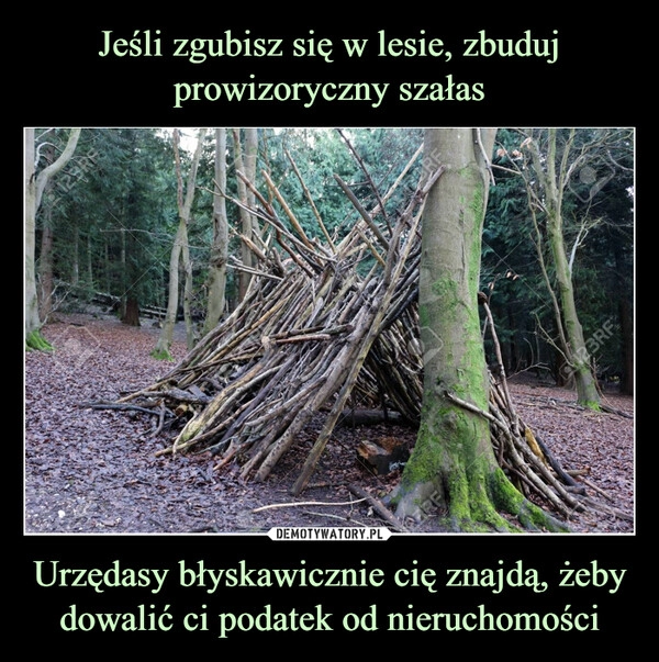 
    Jeśli zgubisz się w lesie, zbuduj prowizoryczny szałas Urzędasy błyskawicznie cię znajdą, żeby dowalić ci podatek od nieruchomości