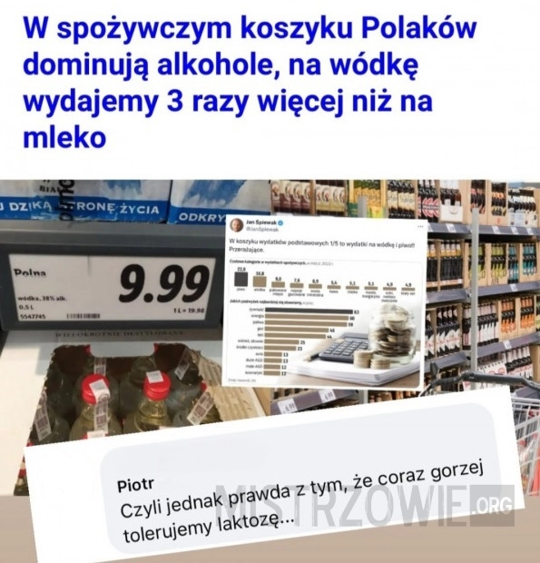 
    Spożywczy koszyk