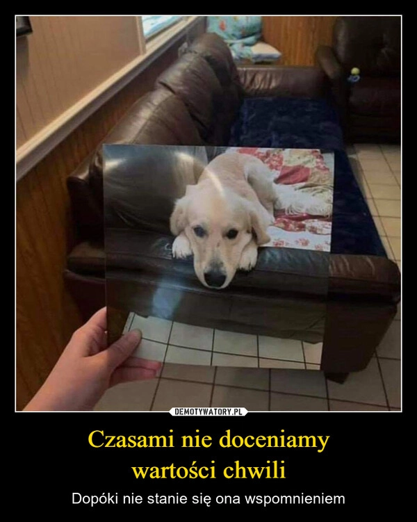 
    Czasami nie doceniamy
wartości chwili