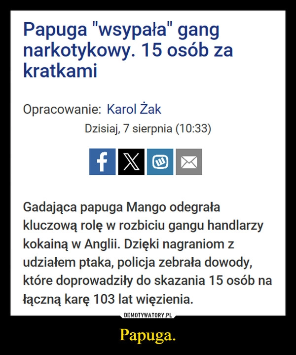 
    Papuga.