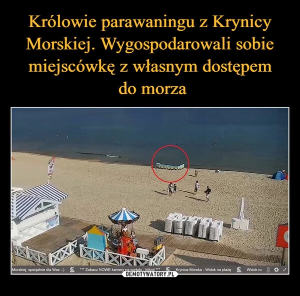 
    Królowie parawaningu z Krynicy Morskiej. Wygospodarowali sobie miejscówkę z własnym dostępem
 do morza