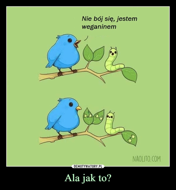 
    Ala jak to?