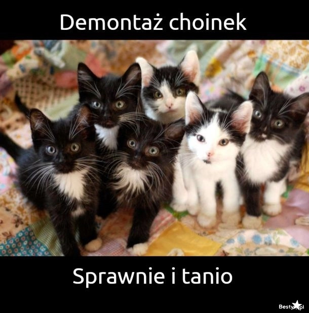 
    Demontaż choinek 